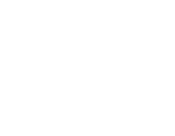 Visenza